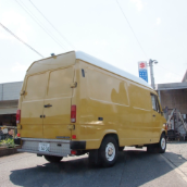 サファリイエロー